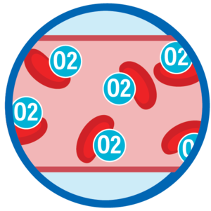 Oxygène plasma sanguin